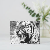 Sumatran Tiger Postkarte (Stehend Vorderseite)