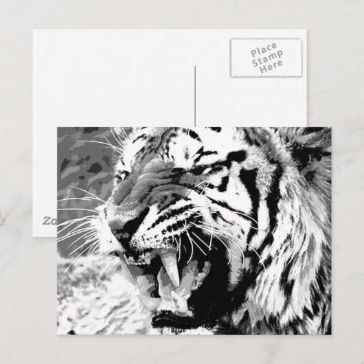 Sumatran Tiger Postkarte (Vorne/Hinten)