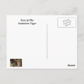 Sumatran Tiger Postkarte (Rückseite)