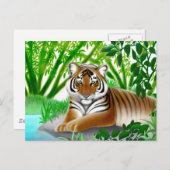 Sumatran Tiger Postkarte vom Aussterben (Vorne/Hinten)
