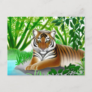 Sumatran Tiger Postkarte vom Aussterben