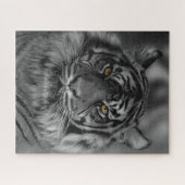 Sumatran Tiger Puzzle (Horizontal)
