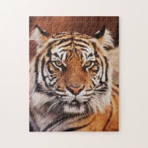 Sumatran Tiger Puzzle