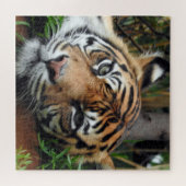 Sumatran Tiger Puzzle (Horizontal)