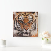 Sumatran Tiger Quadratische Wanduhr (Zuhause)