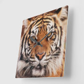 Sumatran Tiger Quadratische Wanduhr (Winkel)