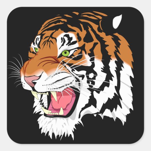 Sumatran Tiger Quadratischer Aufkleber (Vorderseite)