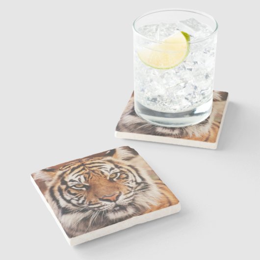 Sumatran Tiger Steinuntersetzer (Seitenansicht)