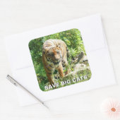 Sumatran Tiger Sticker (Umschlag)