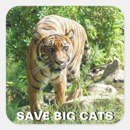 Sumatran Tiger Sticker