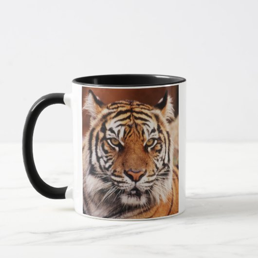 Sumatran Tiger Tasse (Links)
