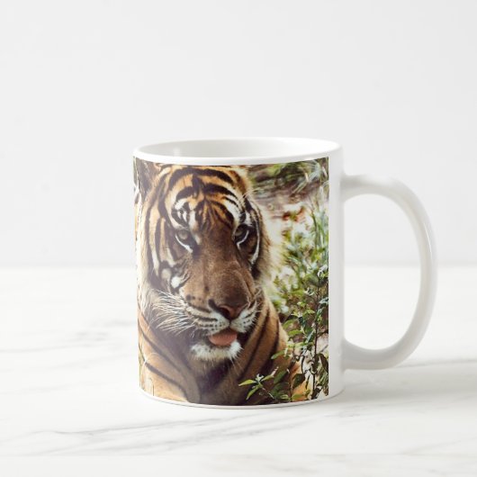 Sumatran Tiger Tasse (Rechts)