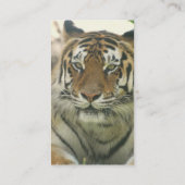 Sumatran Tiger-Visitenkarten Visitenkarte (Rückseite)