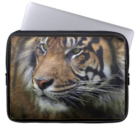 Sumatran Tiger Wild Animal Big Cat-Lover Laptopschutzhülle