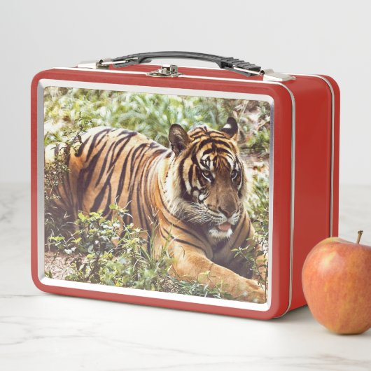 Sumatran Tiger Wild Metal Lunchbox (Beispiel)