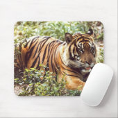 Sumatran-Tiger-Wildjungmouskepad Mousepad (Mit Mouse)