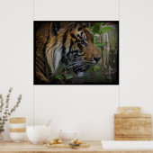 Sumatran Tiger Wildlife Big Cat-Lover Poster (Küche)