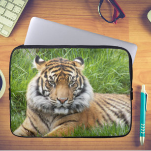 Sumatran Tiger Wildlife Foto Laptopschutzhülle