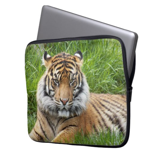 Sumatran Tiger Wildlife Foto Laptopschutzhülle (Vorderseite Links)