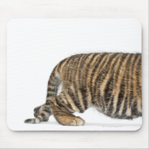 Sumatran Tigerjunges 2 Mousepad