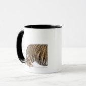 Sumatran Tigerjunges 2 Tasse (Vorderseite Links)