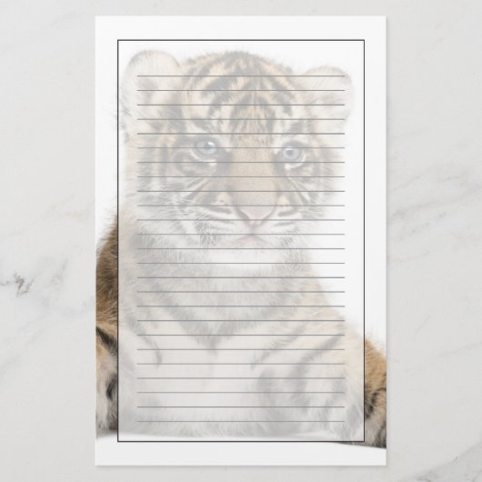 Sumatran Tigerjunges Briefpapier (Vorderseite)