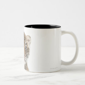 Sumatran Tigerjunges - der Pantheratigris sumatrae Zweifarbige Tasse