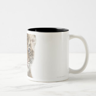 Sumatran Tigerjunges Zweifarbige Tasse