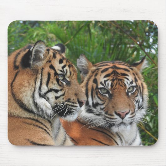 Sumatran Tigers Mousepad (Vorne)
