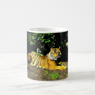 Sumatran-Tigertier Kaffeetasse