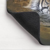 Sumatrantiger, Panthera tigris sumatrae Mousepad (Ecke)