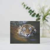 Sumatrantiger, Panthera tigris sumatrae Postkarte (Stehend Vorderseite)