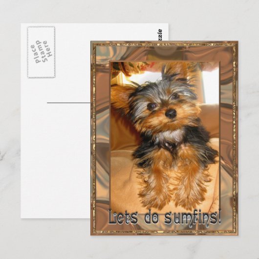 Sumfins Yorkie Postkarte (Vorne/Hinten)