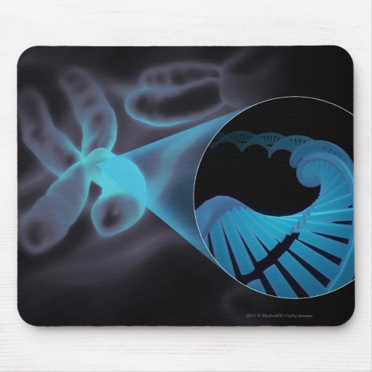 Summen Sie herein von einem DNS-Strang in einem Mousepad (Vorne)