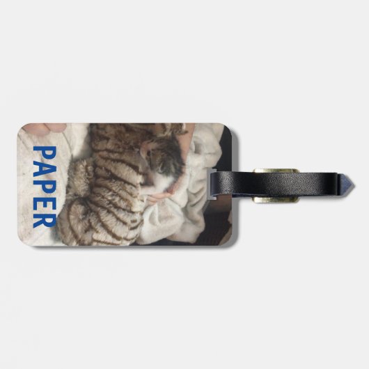 Summen und Freddie Luggage Tag Gepäckanhänger (Rückseite horizontal)