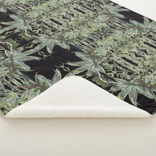 Summenvogel in einem Nest Sherpadecke (3/4)