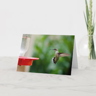 Summenvogel Karte