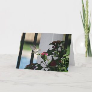 Summenvogel, leere Karte