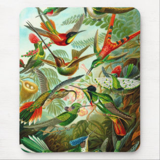 Summenvogel Mousepad