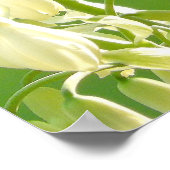 Summenvogel Poster (Ecke)