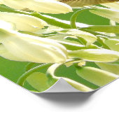 Summenvogel Poster (Ecke)