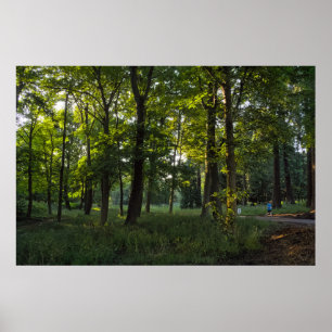 Summer Abend, Bute Park, Cardiff Poster