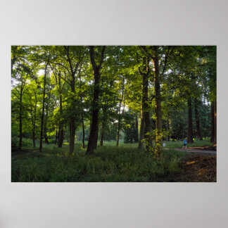 Summer Abend, Bute Park, Cardiff Poster