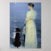 Summer Abend in Skagen Poster (Vorne)
