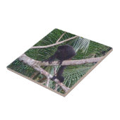 Summer-Affe und Baby-Affe in Costa Rica-Dschungel Fliese (Seite)