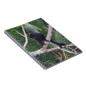 Summer-Affe und Baby-Affe in Costa Rica-Dschungel Notizblock (Rechte Seite)