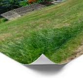 Summer Afternoon at Crow Wood Park Poster (Ecke)