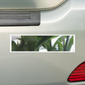 Summer Bamboo Autoaufkleber (Auf Auto)