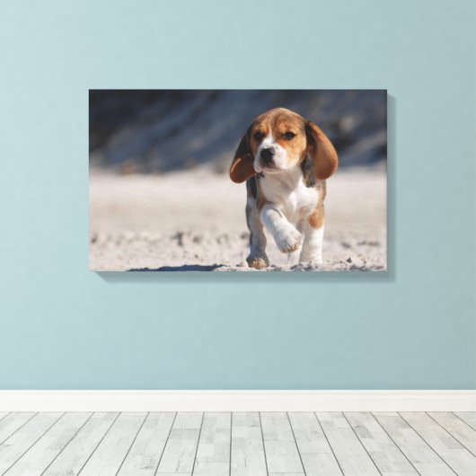 Summer Beagle Leinwanddruck (Insitu (Holzboden))