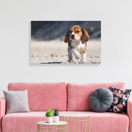 Summer Beagle Leinwanddruck (Insitu (Wohnzimmer))